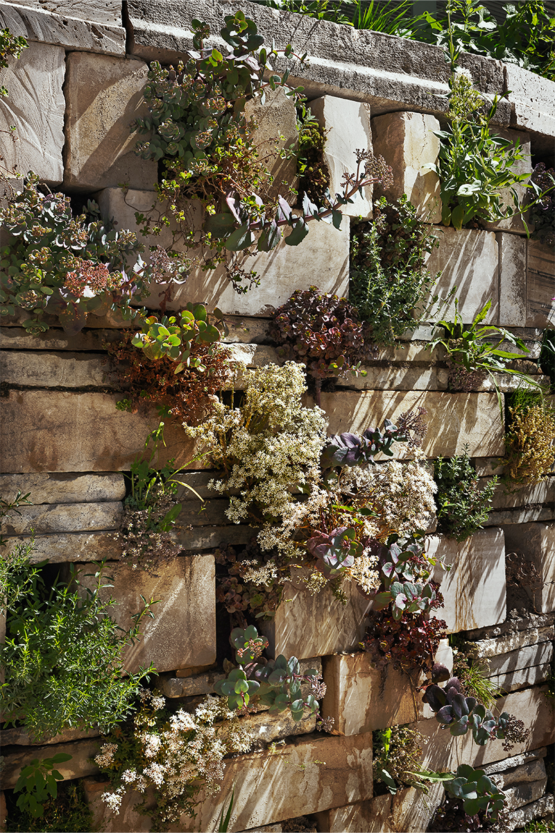 Végétal & Architecture, Pavillon biodiversitaire architecture-vegetal-pavillon-bap-26