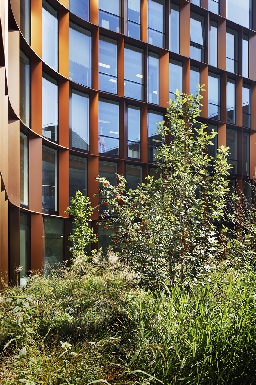 Bureaux en structure bois, quartier de la Montjoie bureaux-montjoie-saint-denis-09