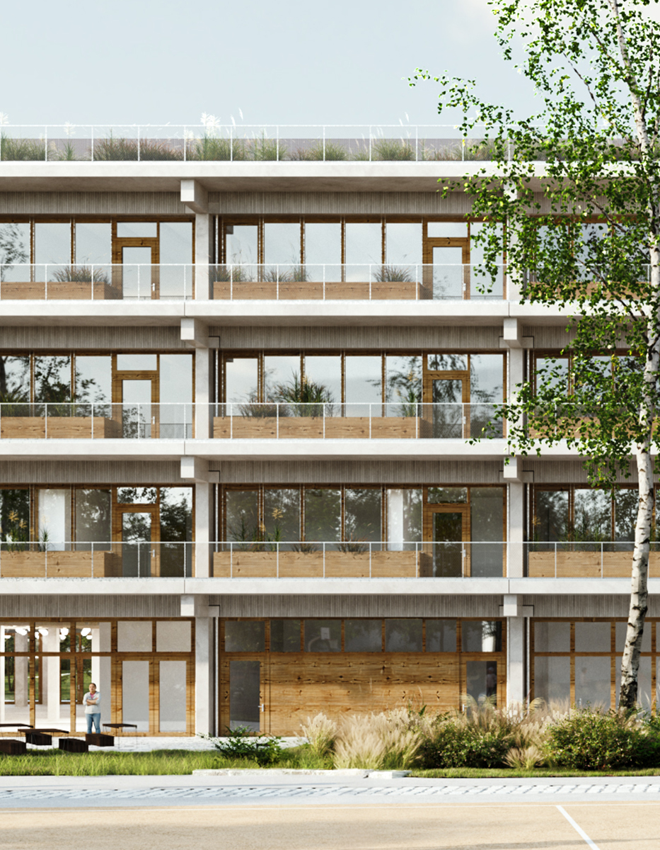 Reconstruction of the school campus Bockmühle college-lycee-bockmuhle-essen-vignette2