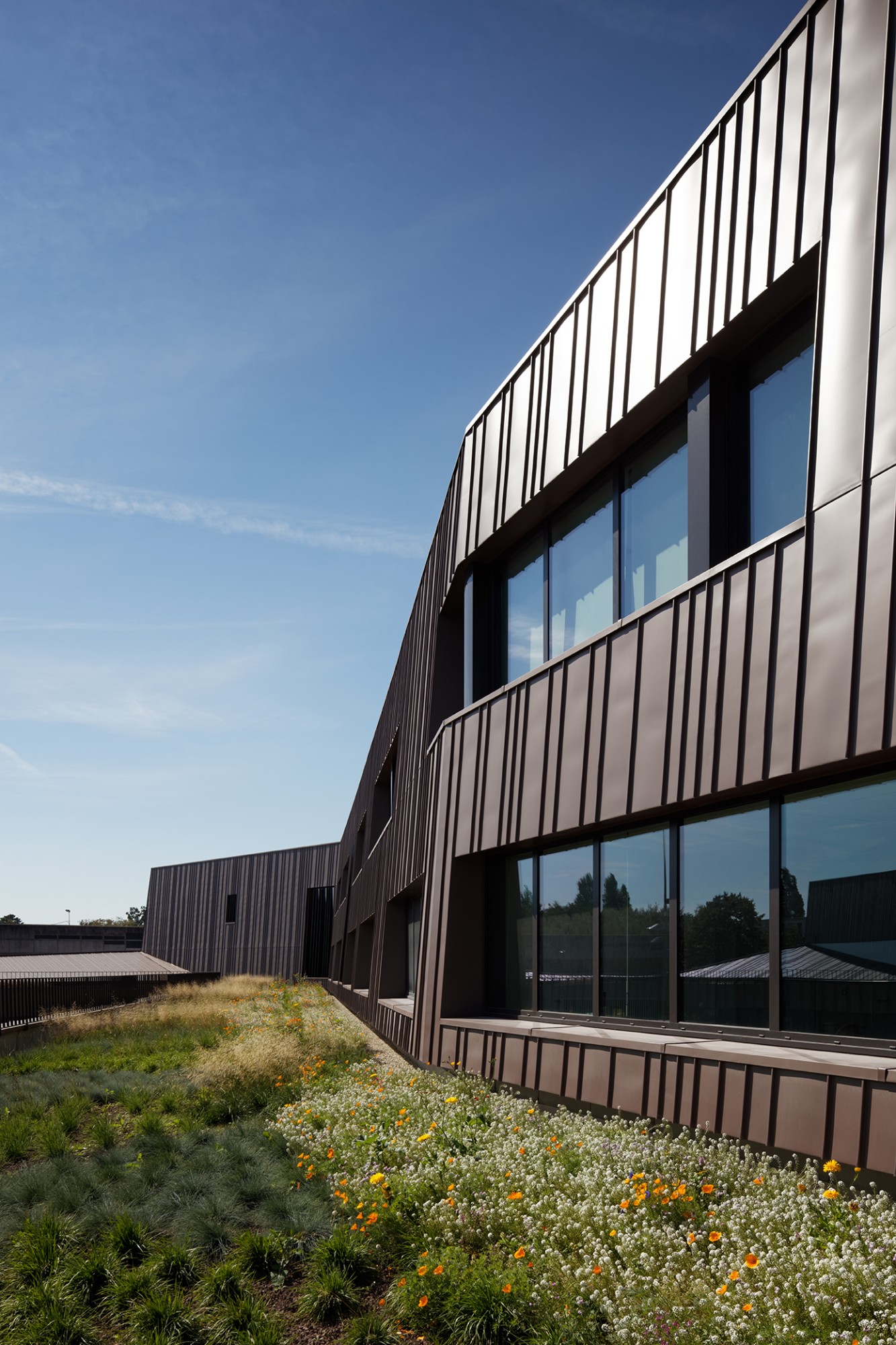 Moulins Secondary School college-moulins-lille-24