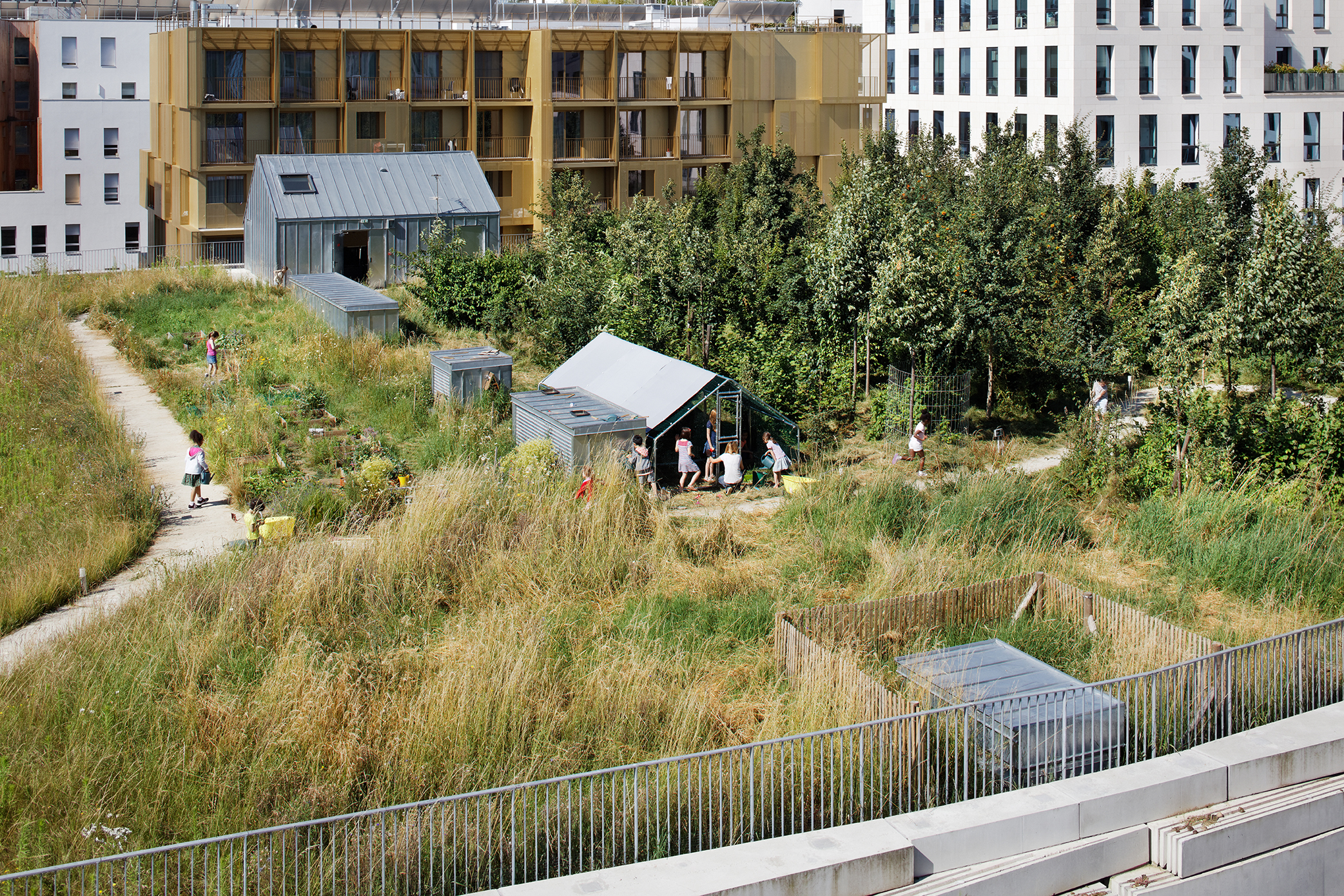Ecole de la biodiversité et gymnase ecole-biodiversite-boulogne-15