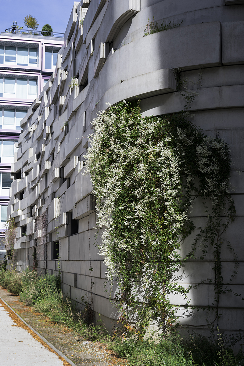 Ecole de la biodiversité et gymnase ecole-biodiversite-boulogne-11