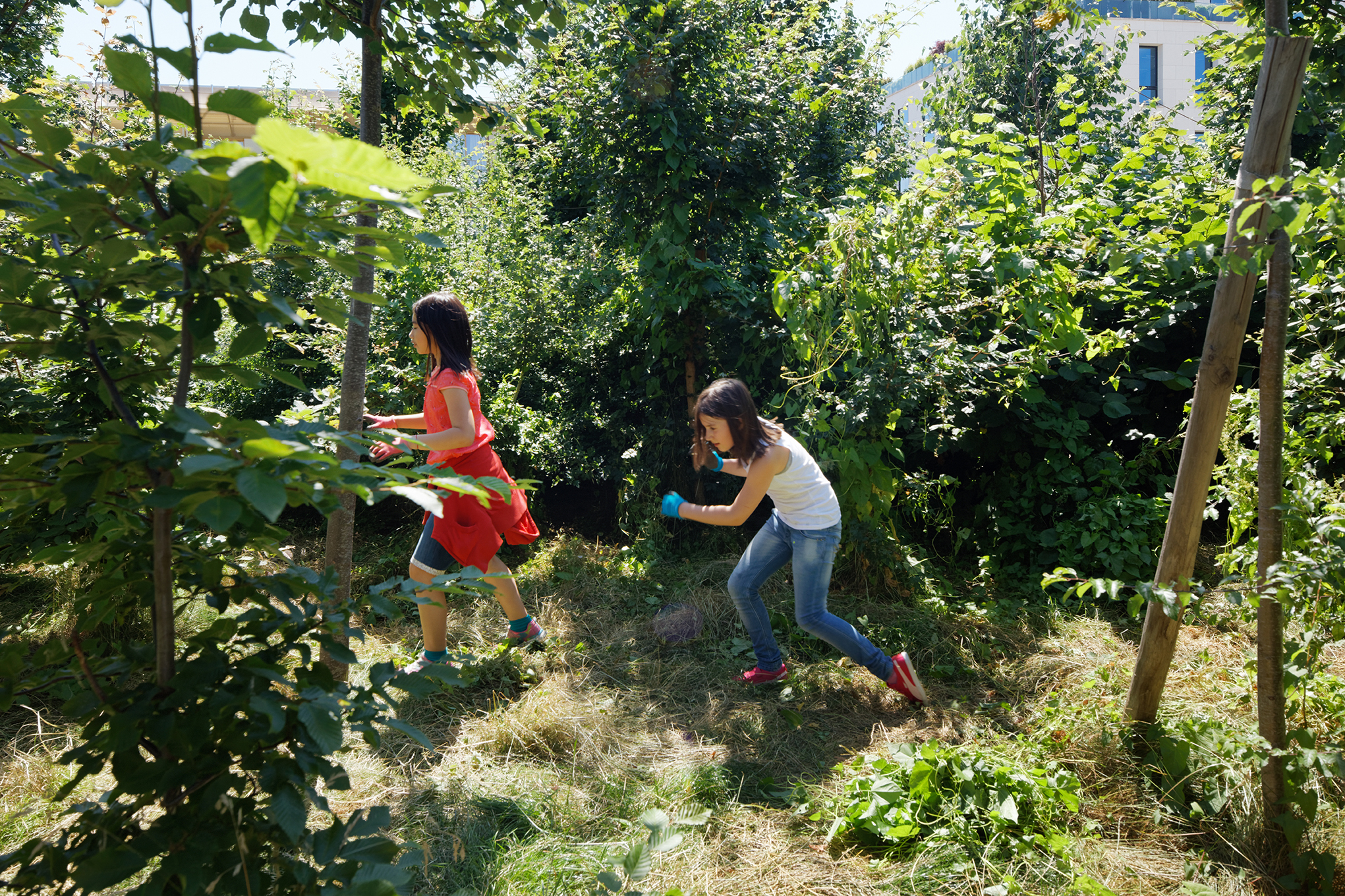 Ecole de la biodiversité et gymnase ecole-biodiversite-boulogne-20