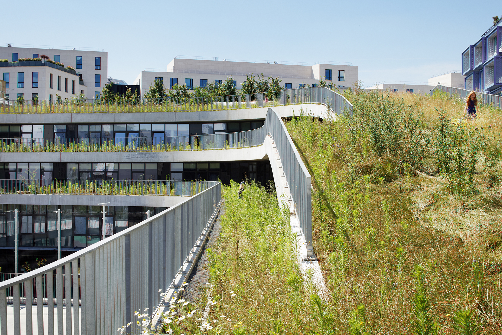 Ecole de la biodiversité et gymnase ecole-biodiversite-boulogne-17