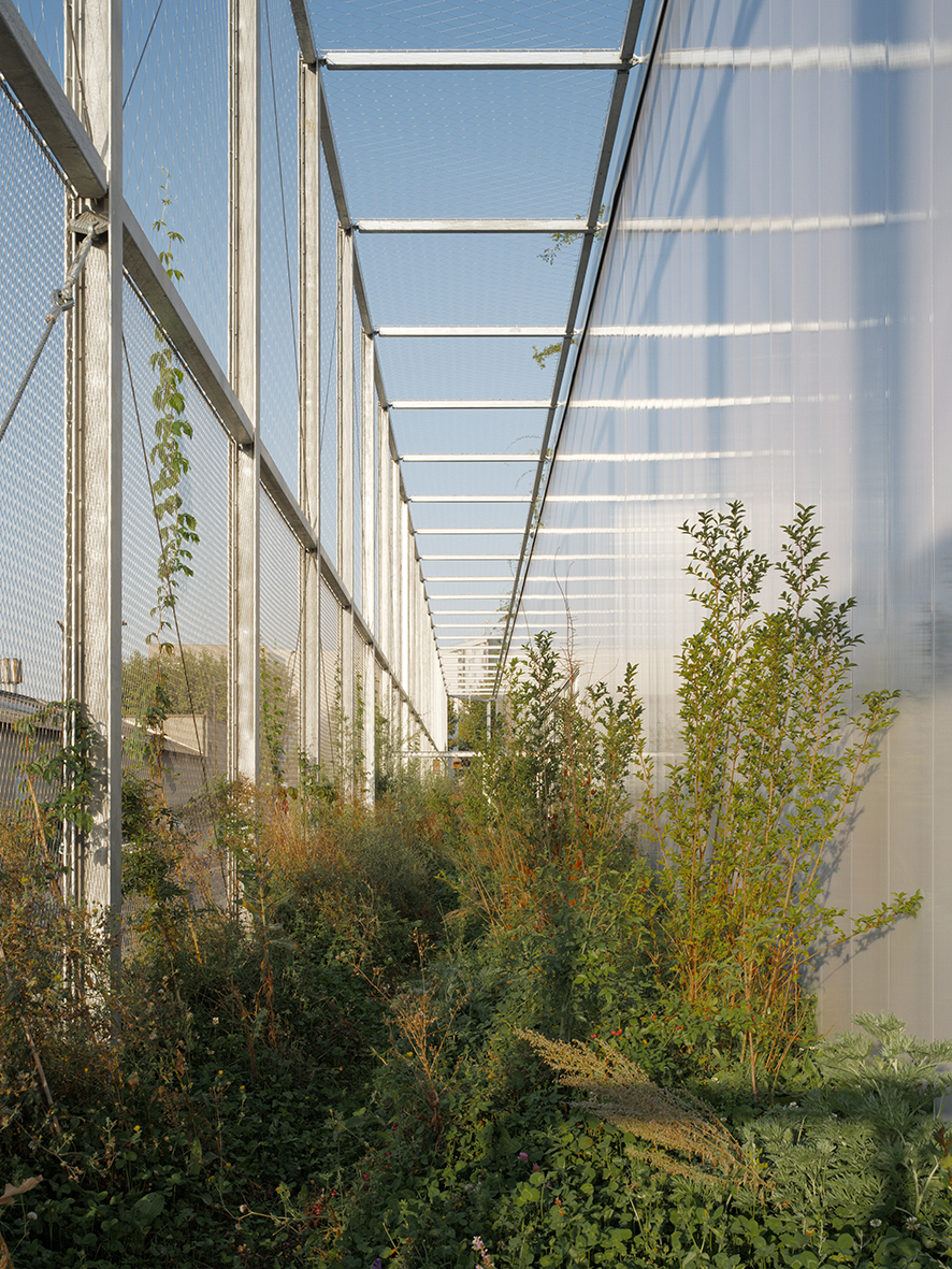 Logistic Center in the Ardoines district dscf4439