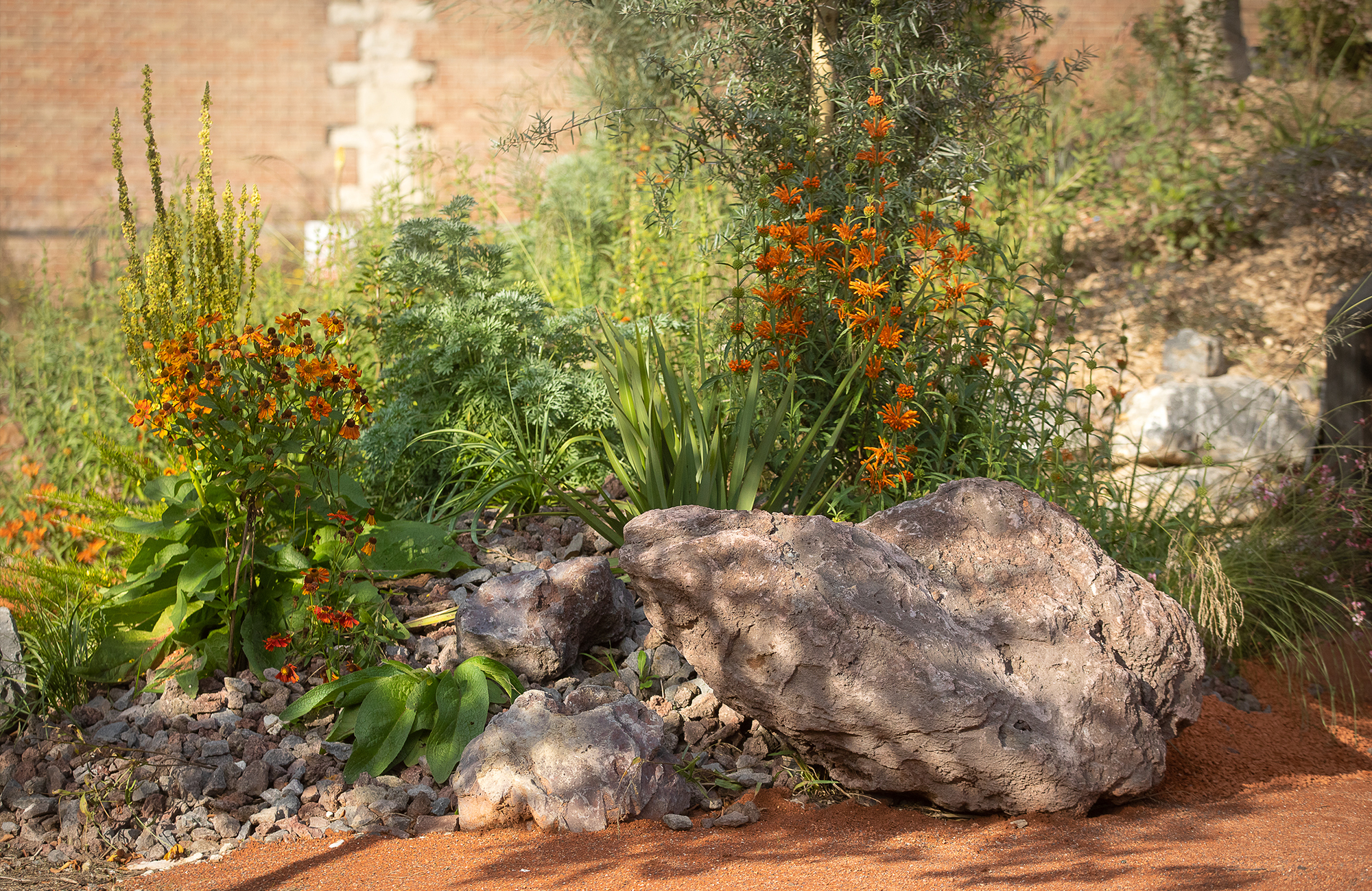 Le jardin des songes, jardin de la paix franco-australien jardin-paix-franco-australien-amiens-36