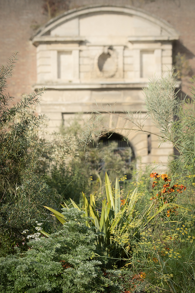 The Garden of Dreams, a Franco-Australian peace garden jardin-paix-franco-australien-amiens-40