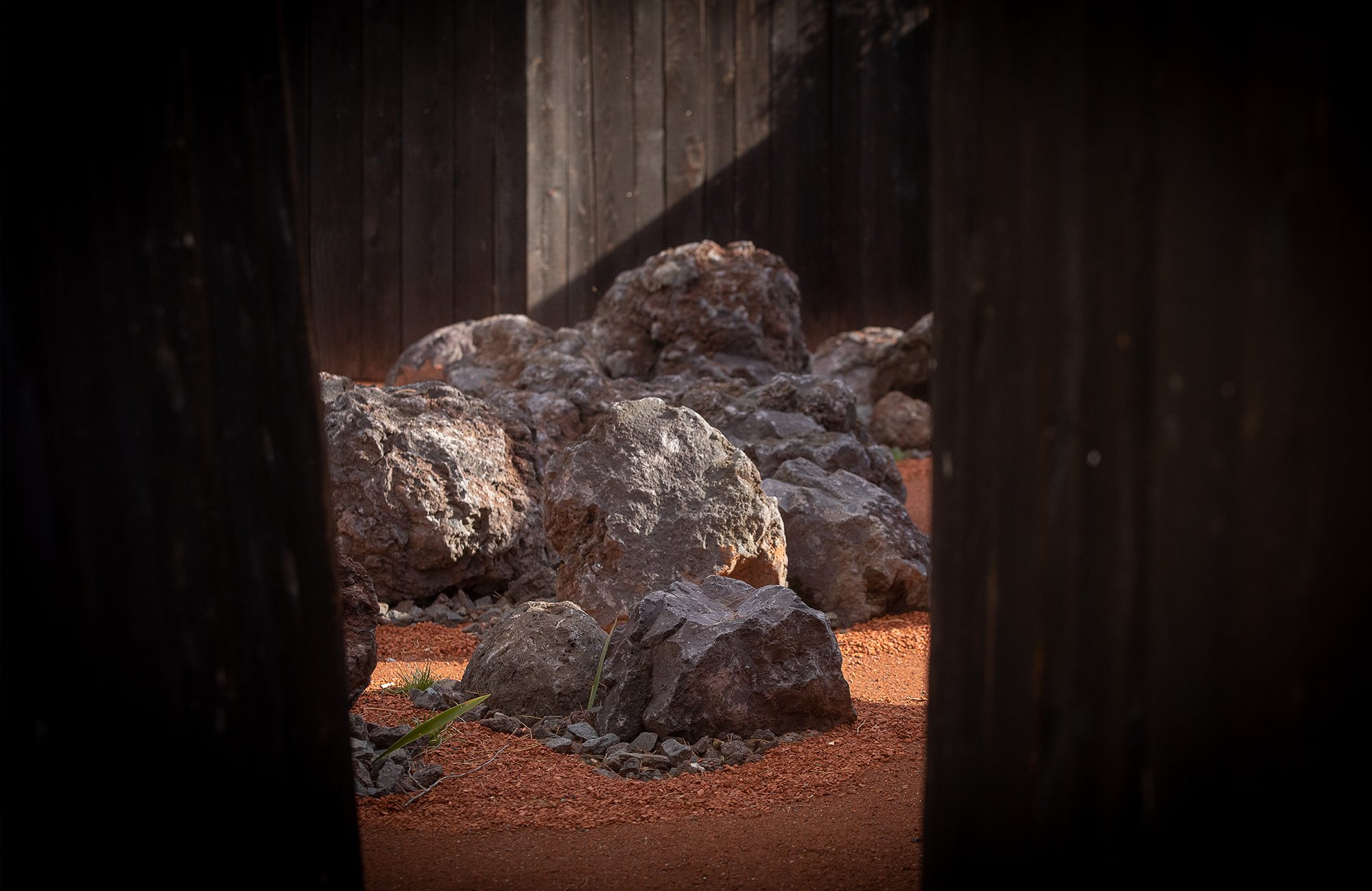 The Garden of Dreams, a Franco-Australian peace garden jardin-paix-franco-australien-amiens-35