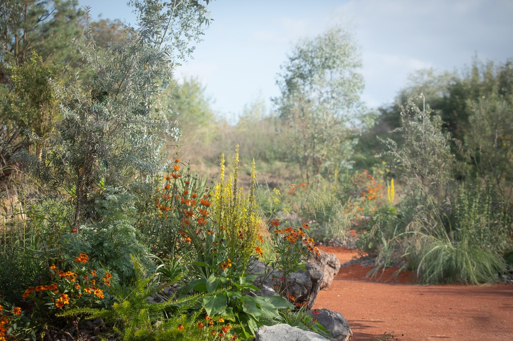 Le jardin des songes, jardin de la paix franco-australien jardin-paix-franco-australien-amiens-chapeau6