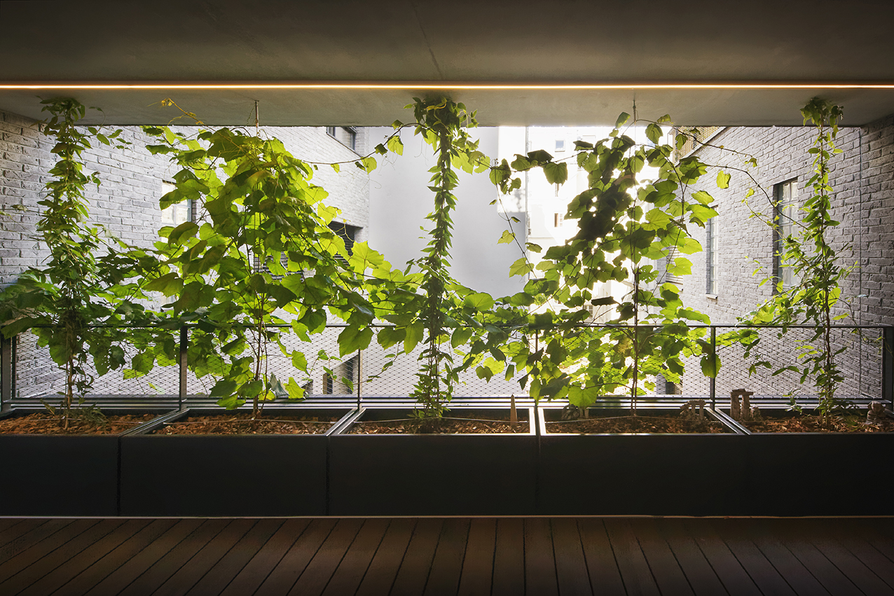 Housing and nursery, rue de l'Asile Popincourt logements-creche-asile-popincourt-09