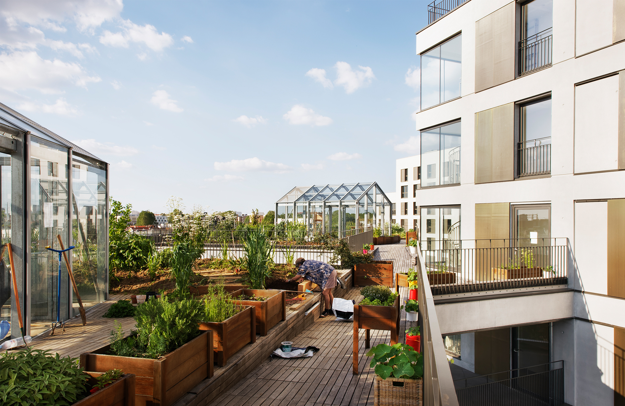 Logements rue des Meuniers logements-meuniers-chevilly-larue-22