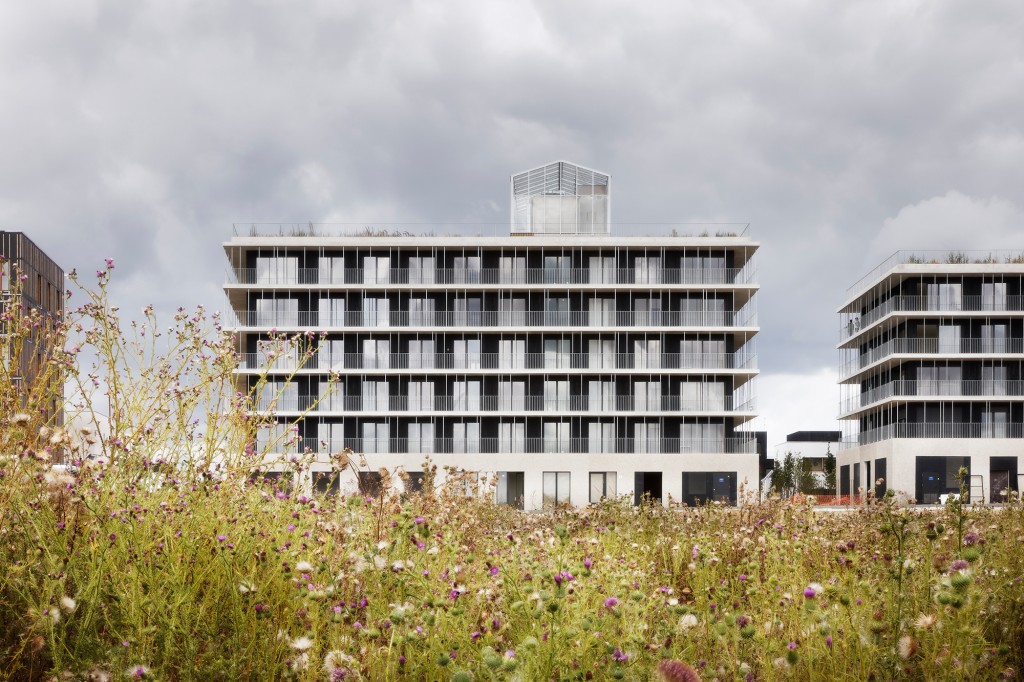 Logements sociaux, commerces, quartier du Sycomore logements-quartier-sycomore-chapeau