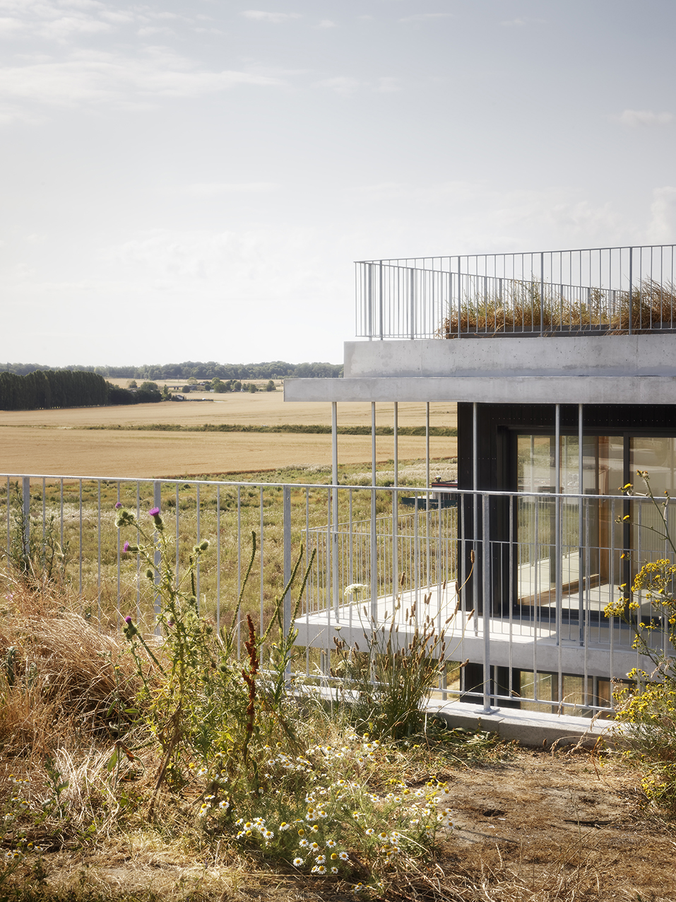 Logements sociaux, commerces, quartier du Sycomore logements-quartier-sycomore-bussy-saint-georges-01