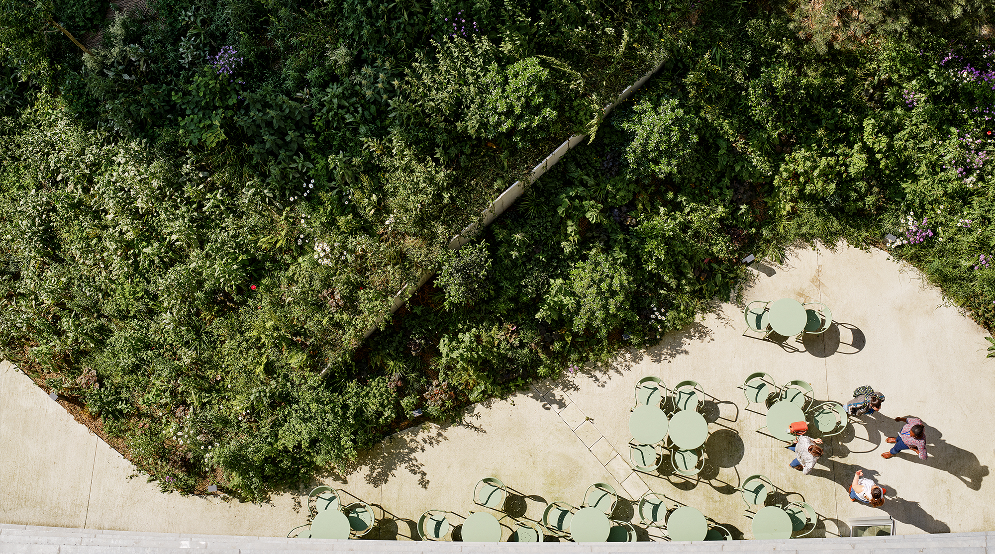 Nouveau siège de l’AP-HP nouveau-siege-aphp-43