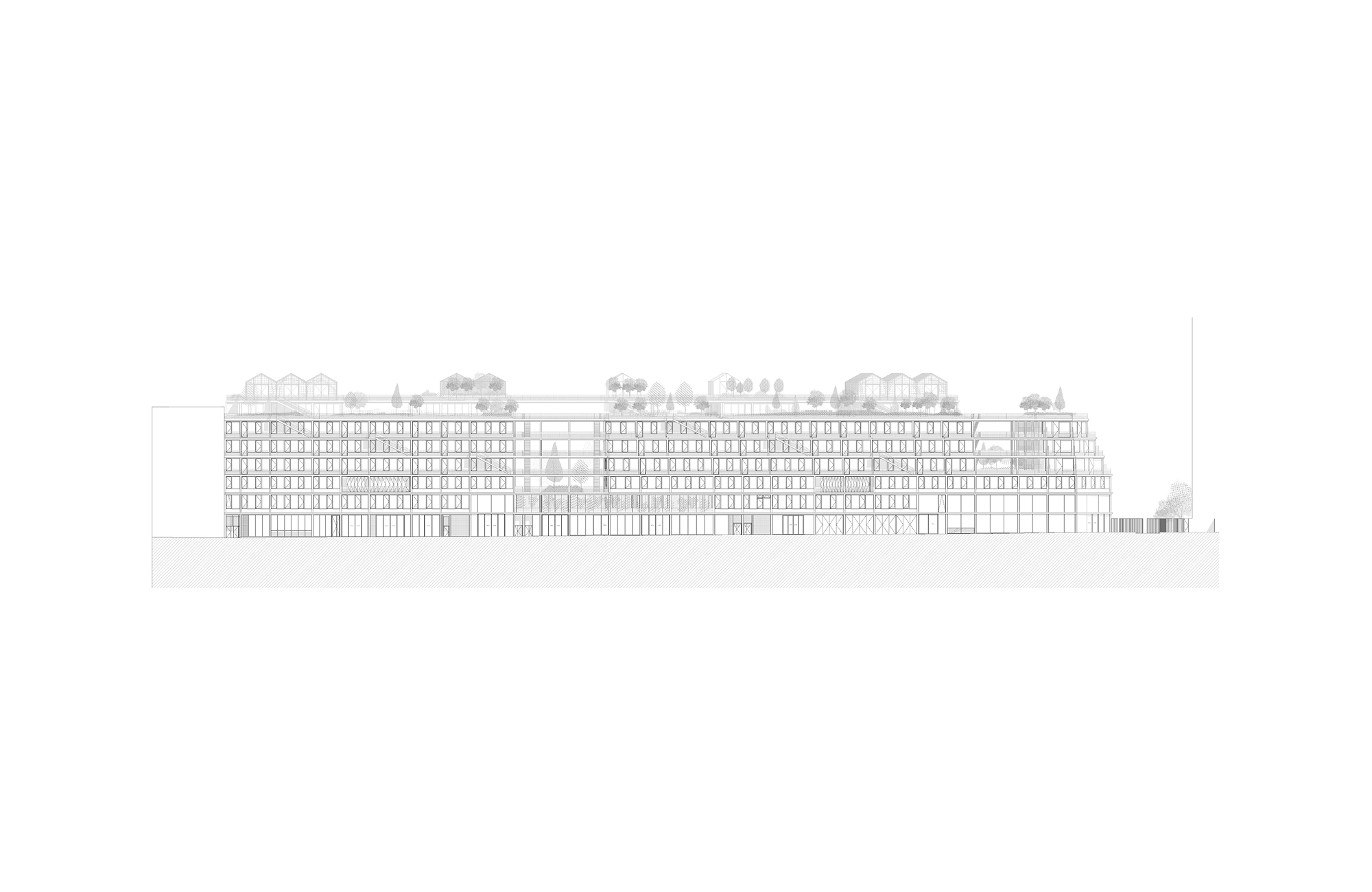 Mixed-use project in structural wood, rue des Poissonniers projet-mixte-bois-poissonniers-31