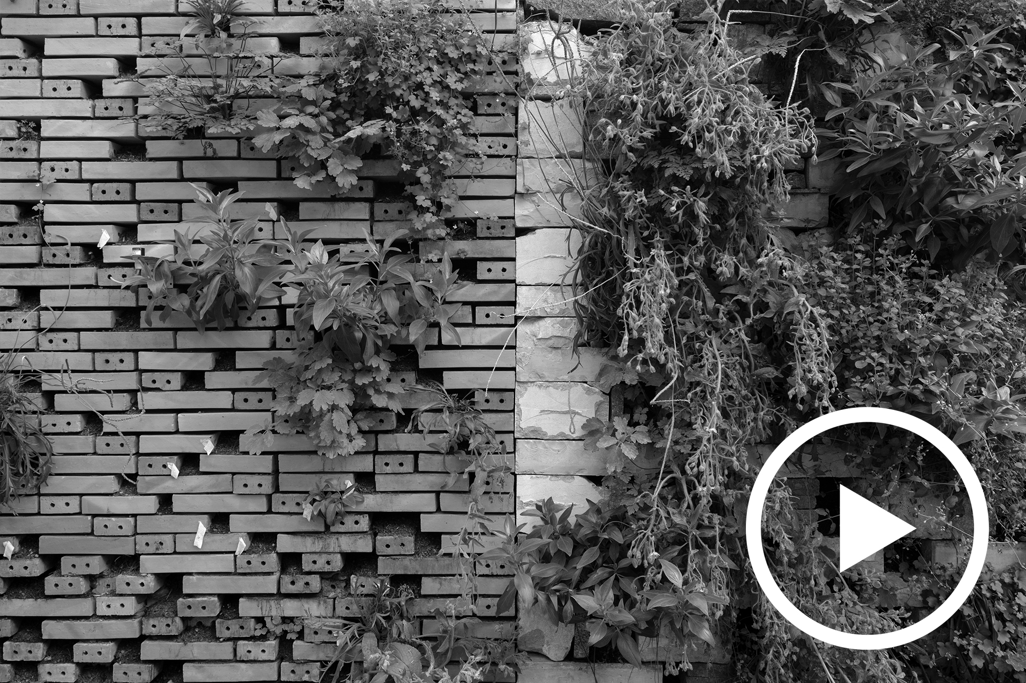 Hosting life in architecture, Où est le beau ? November 2021 ou-beau-accueillir-vivant-architecture