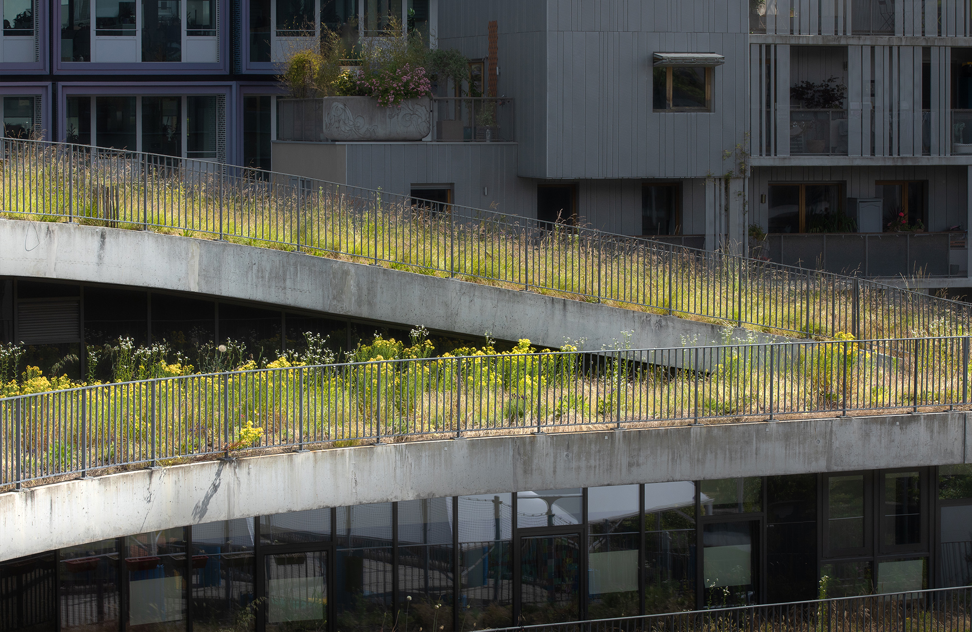 L'école des sciences et de la biodiversité, 10 ans après ecole-boulogne-reportage-10-ans-apres-02
