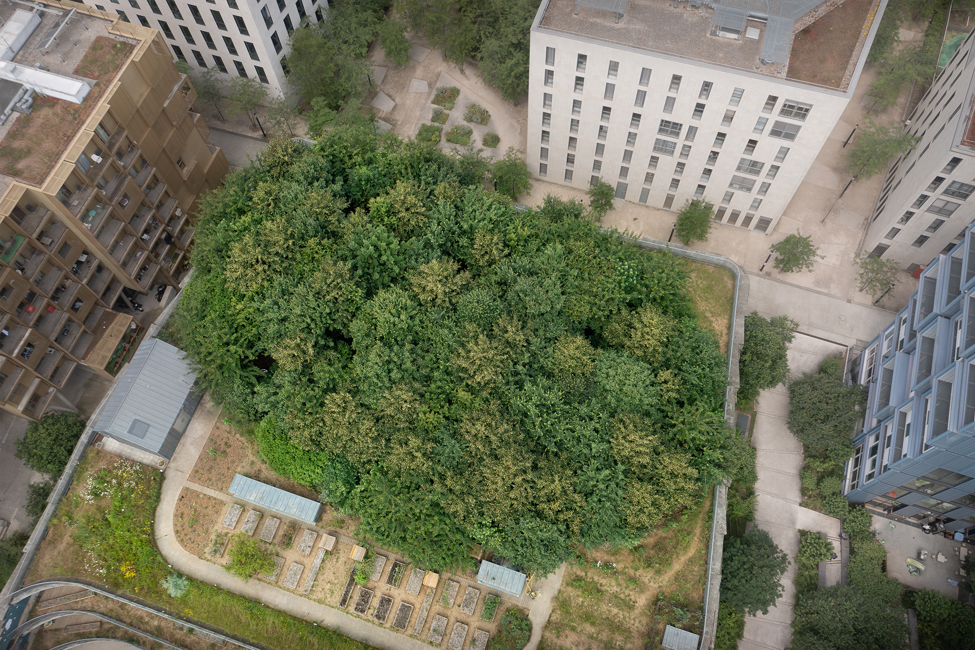The School of Science and Biodiversity, 10 years on ecole-boulogne-reportage-10-ans-apres-vignette1