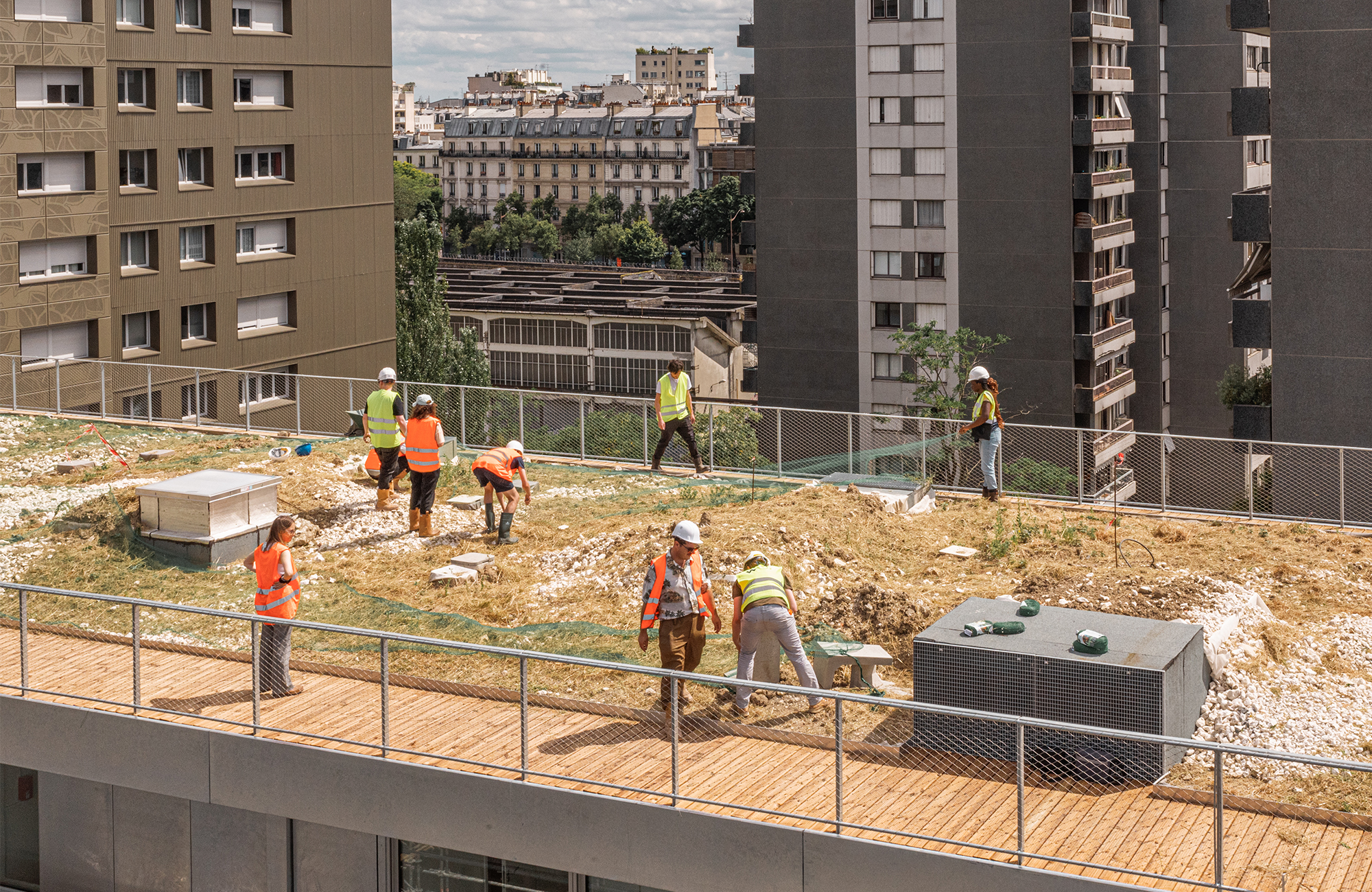 Seeding the roof of the rue des Poissonniers project ensemencement-poissonniers-prairie-02