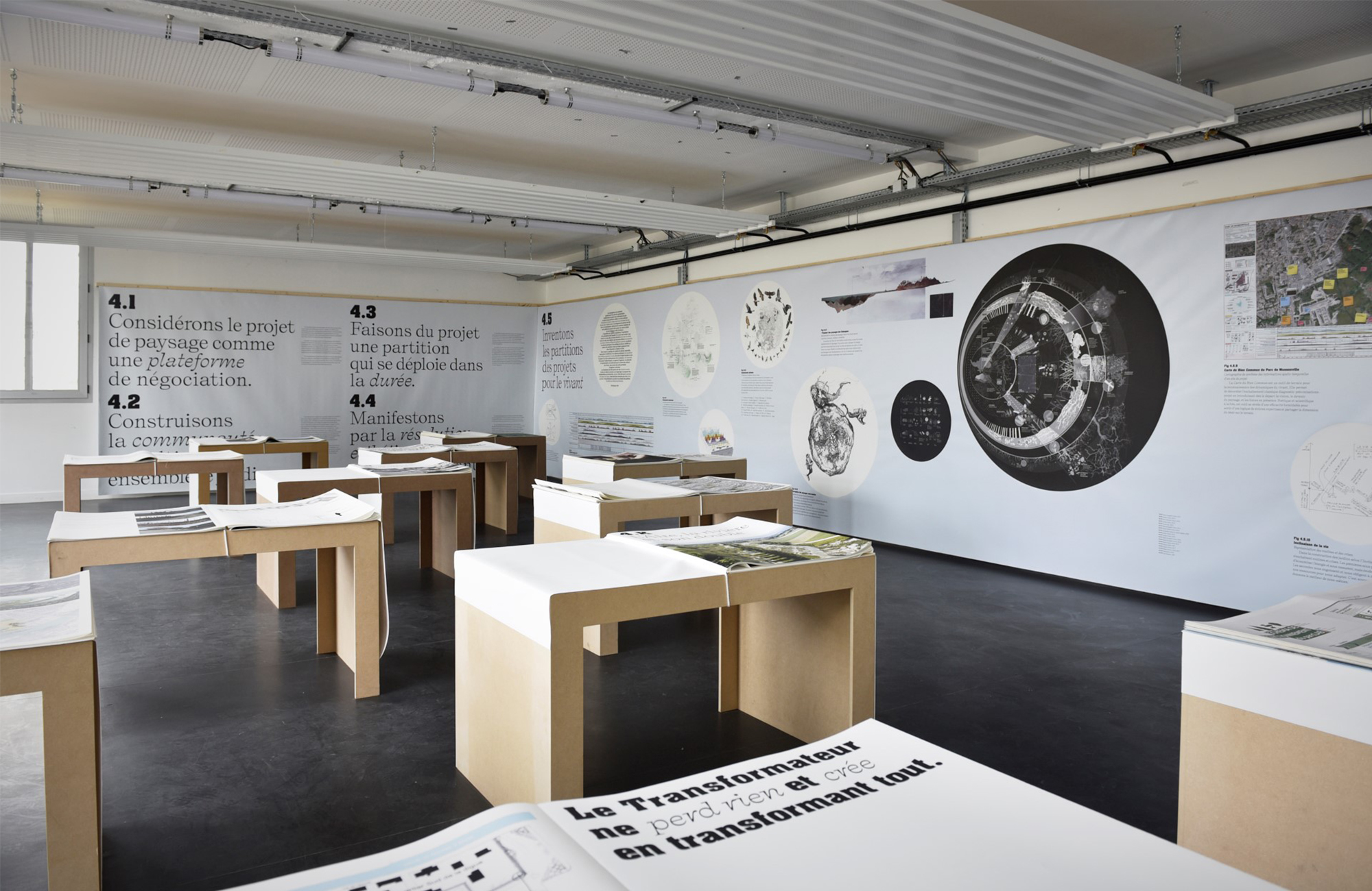 Contribution to the exhibition