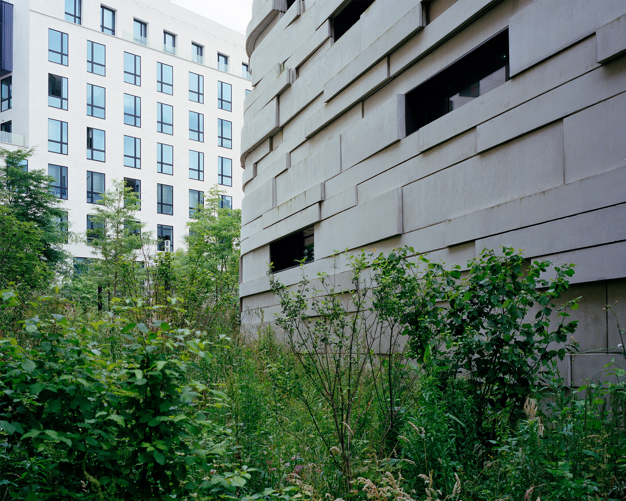 Myr Muratet, reportage photographique #1, École de la Biodiversité, Boulogne-Billancourt reportage-photo-ecole-boulogne-myr-muratet-13