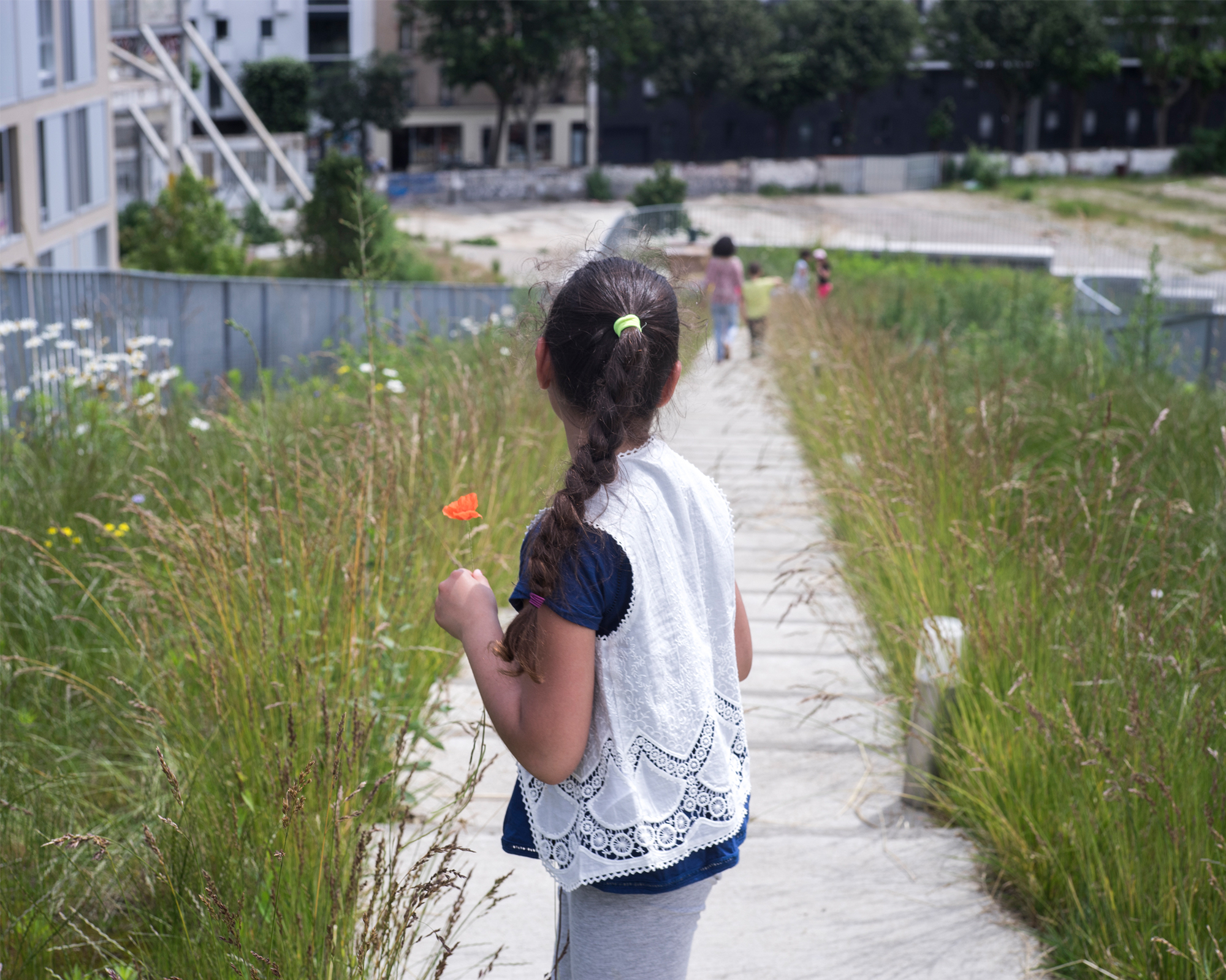 Myr Muratet, photographic report #1, Biodiversity School, Boulogne-Billancourt reportage-photo-ecole-boulogne-myr-muratet-02