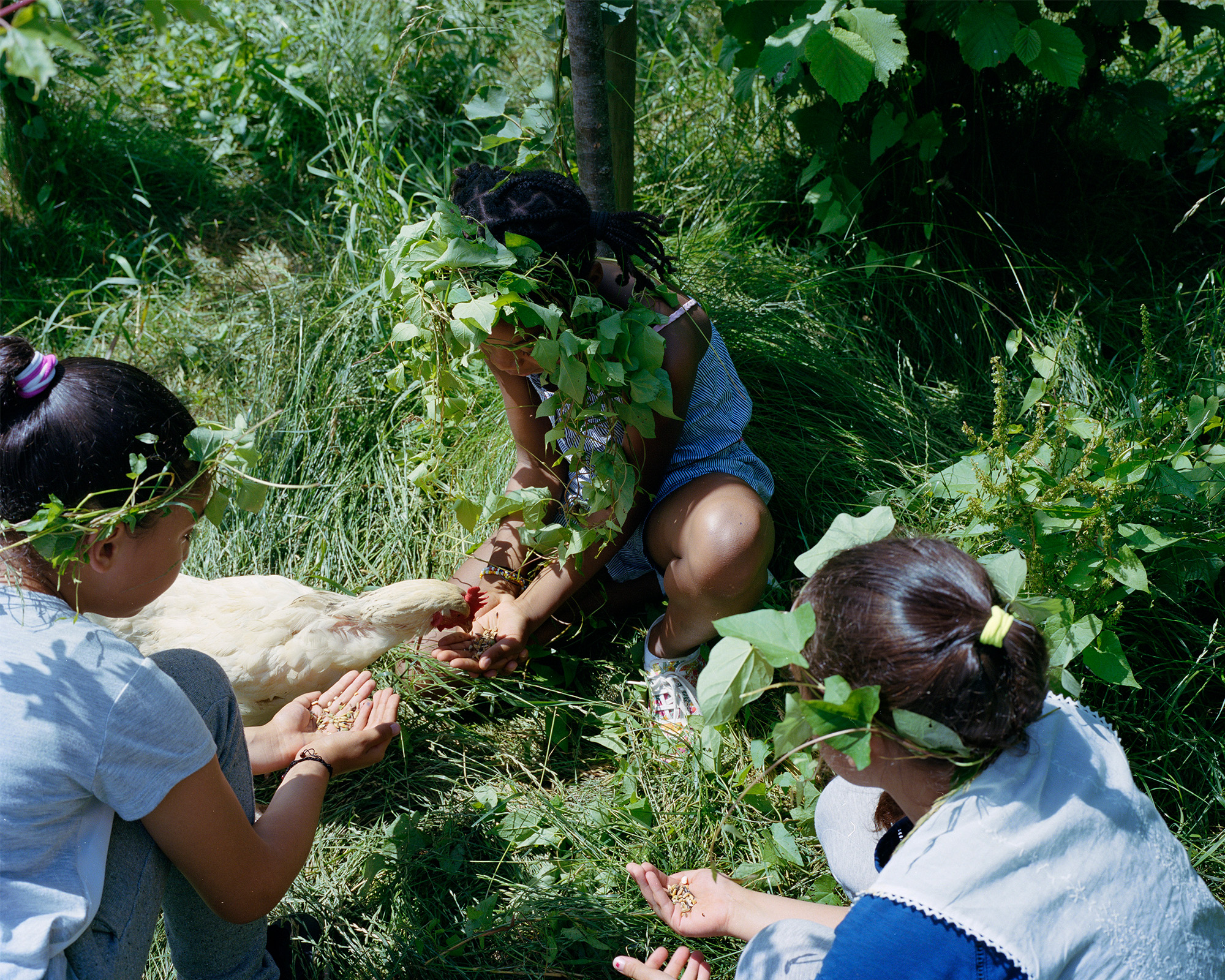 Myr Muratet, photographic report #1, Biodiversity School, Boulogne-Billancourt reportage-photo-ecole-boulogne-myr-muratet-09