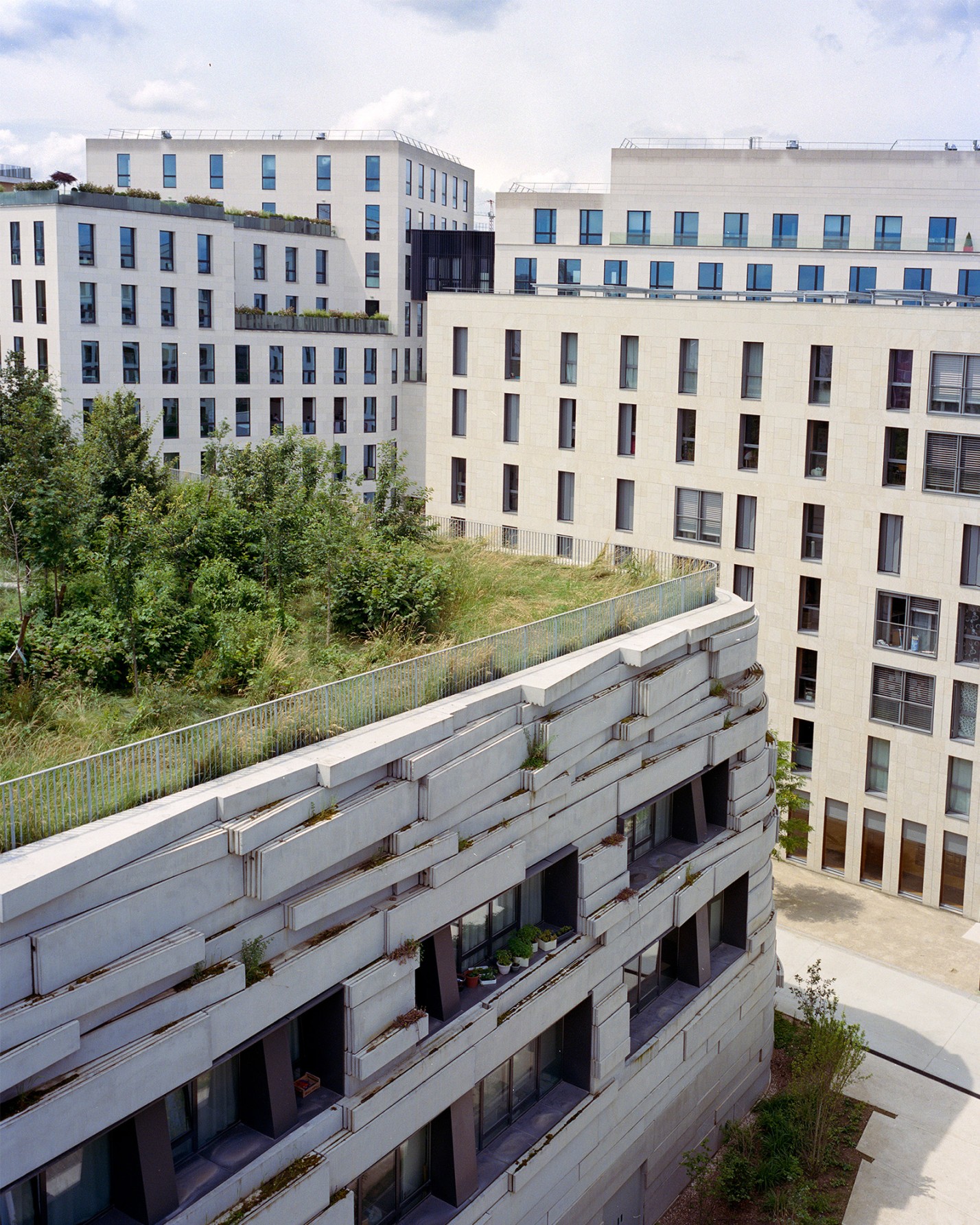 Myr Muratet, photographic report #1, Biodiversity School, Boulogne-Billancourt reportage-photo-ecole-boulogne-myr-muratet-11