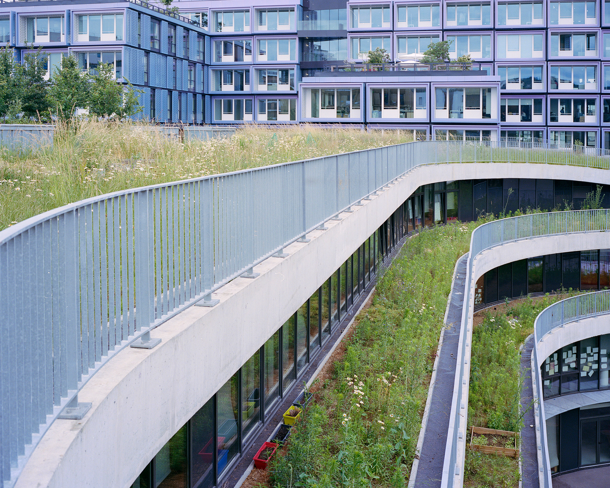Myr Muratet, photographic report #1, Biodiversity School, Boulogne-Billancourt reportage-photo-ecole-boulogne-myr-muratet-10