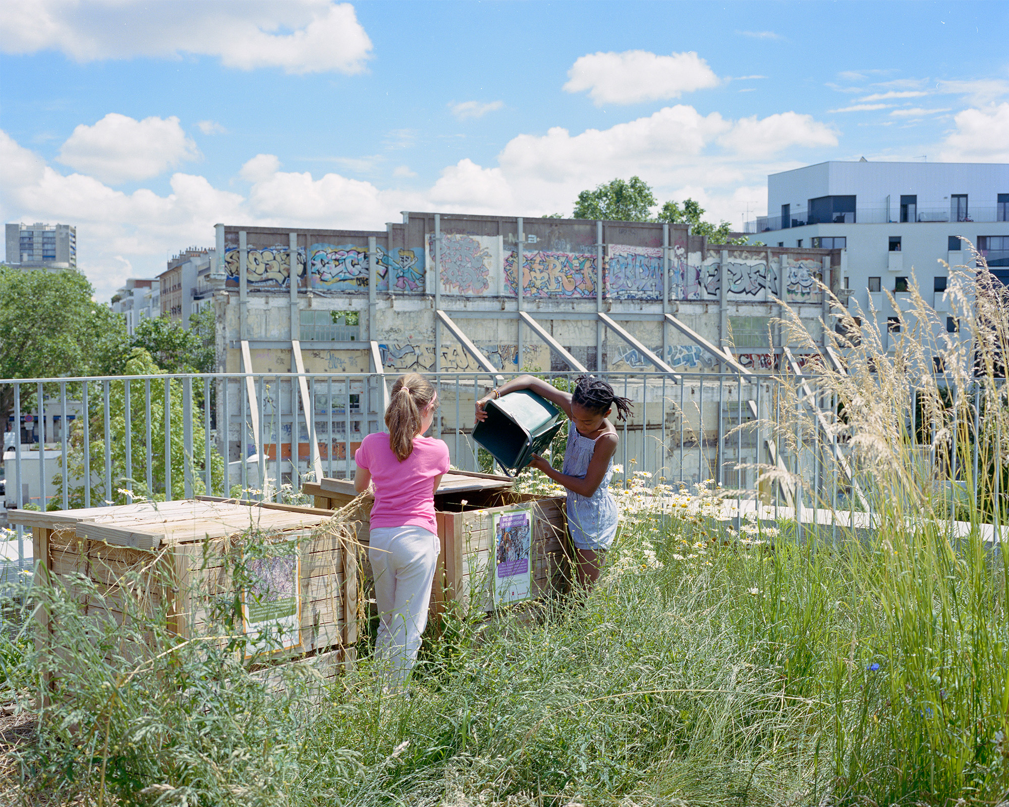 Myr Muratet, photographic report #1, Biodiversity School, Boulogne-Billancourt reportage-photo-ecole-boulogne-myr-muratet-08