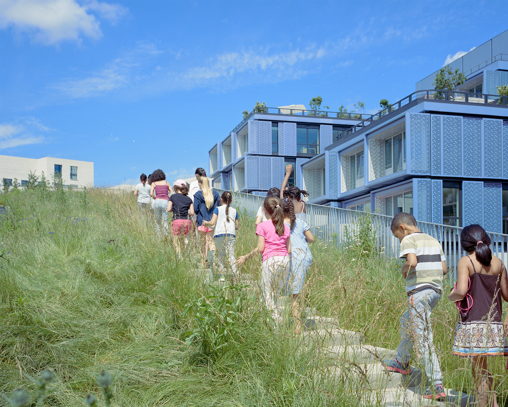 Myr Muratet, photographic report #1, Biodiversity School, Boulogne-Billancourt reportage-photo-ecole-boulogne-myr-muratet-07