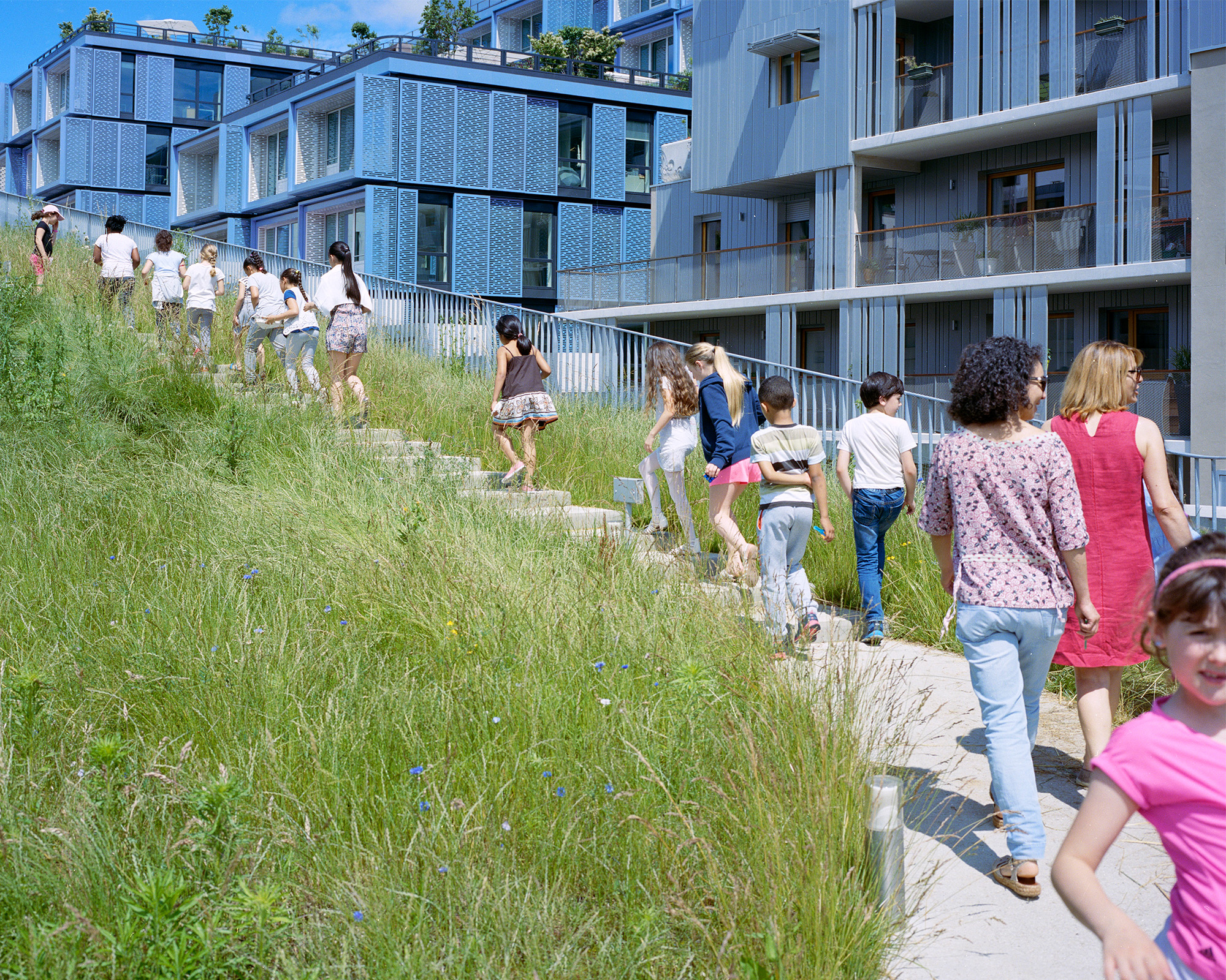 Myr Muratet, photographic report #1, Biodiversity School, Boulogne-Billancourt reportage-photo-ecole-boulogne-myr-muratet-06