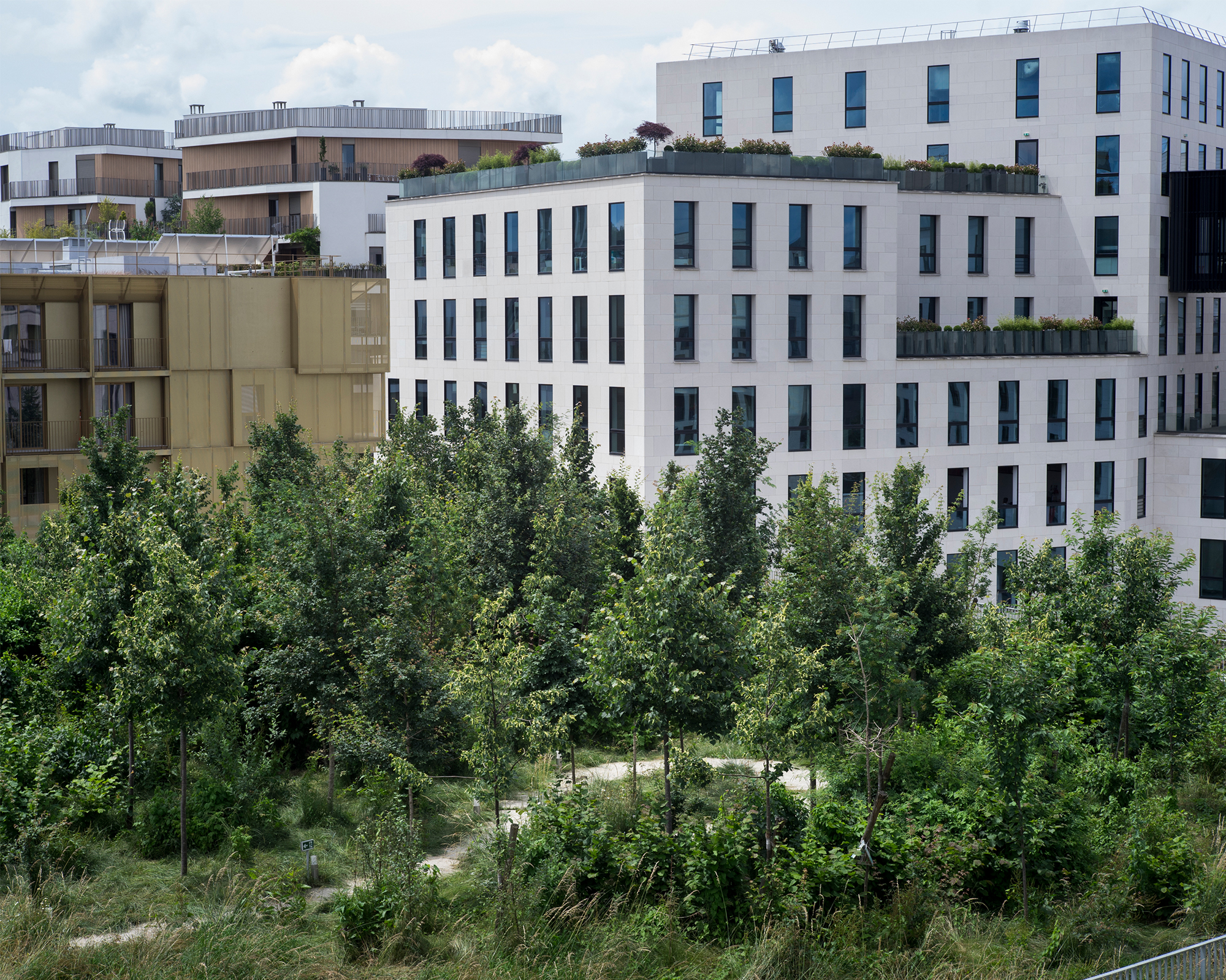 Myr Muratet, reportage photographique #1, École de la Biodiversité, Boulogne-Billancourt reportage-photo-ecole-boulogne-myr-muratet-04