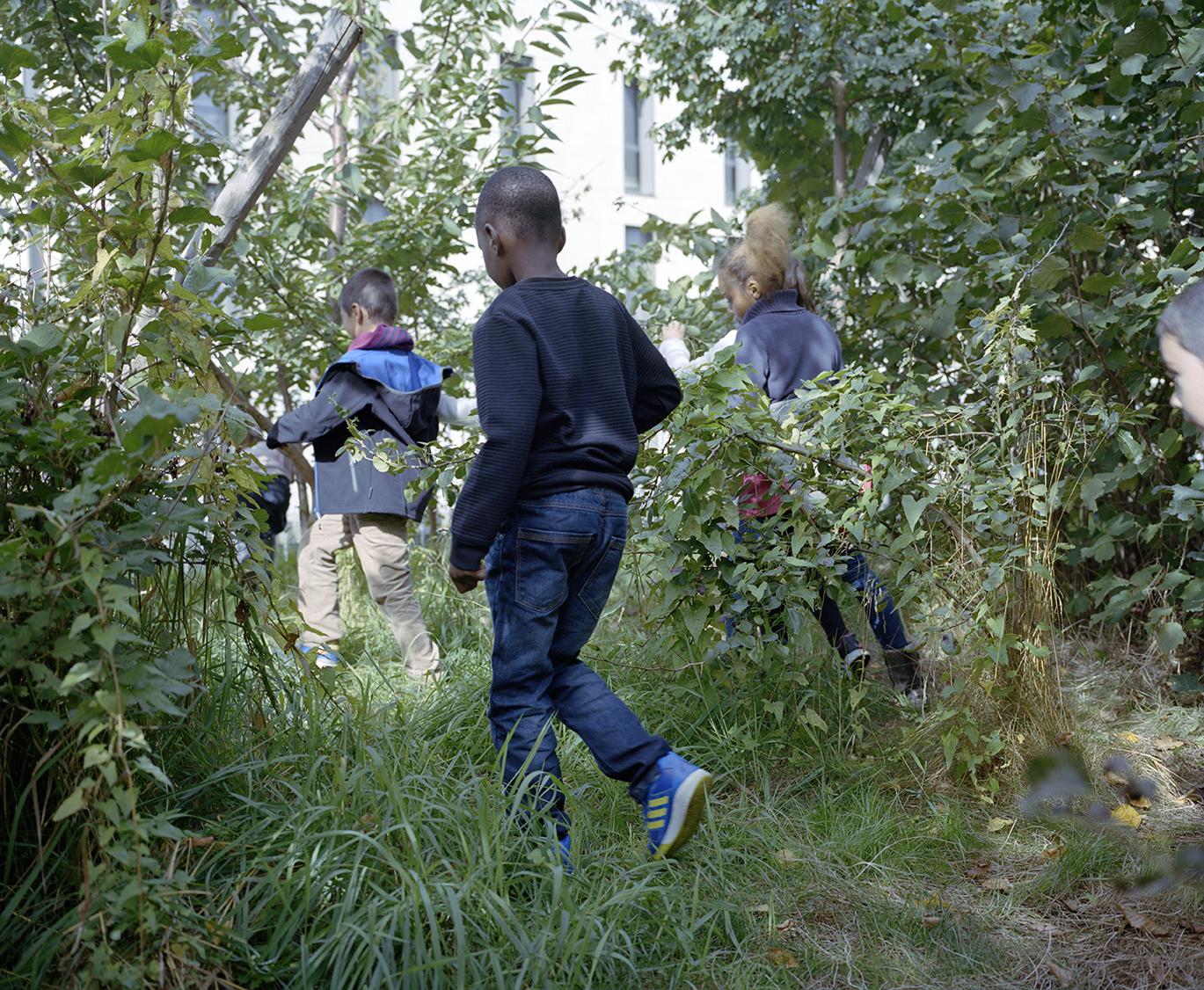 Myr Muratet, photographic report #2, Biodiversity School, Boulogne-Billancourt reportage-photo-ecole-boulogne-myr-muratet-10
