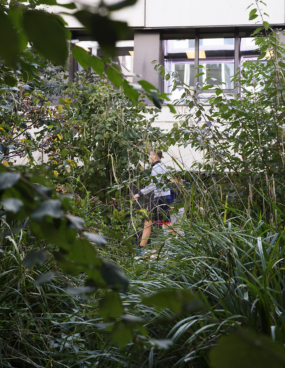 Myr Muratet, photographic report #2, Biodiversity School, Boulogne-Billancourt reportage-photo-ecole-boulogne-myr-muratet-06