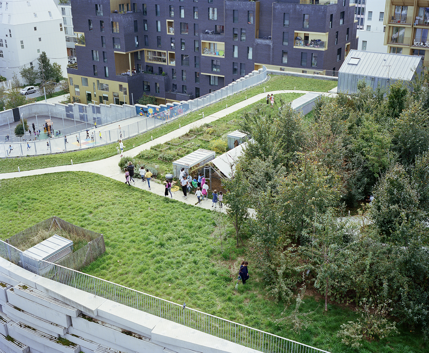 Myr Muratet, photographic report #2, Biodiversity School, Boulogne-Billancourt reportage-photo-ecole-boulogne-myr-muratet-07