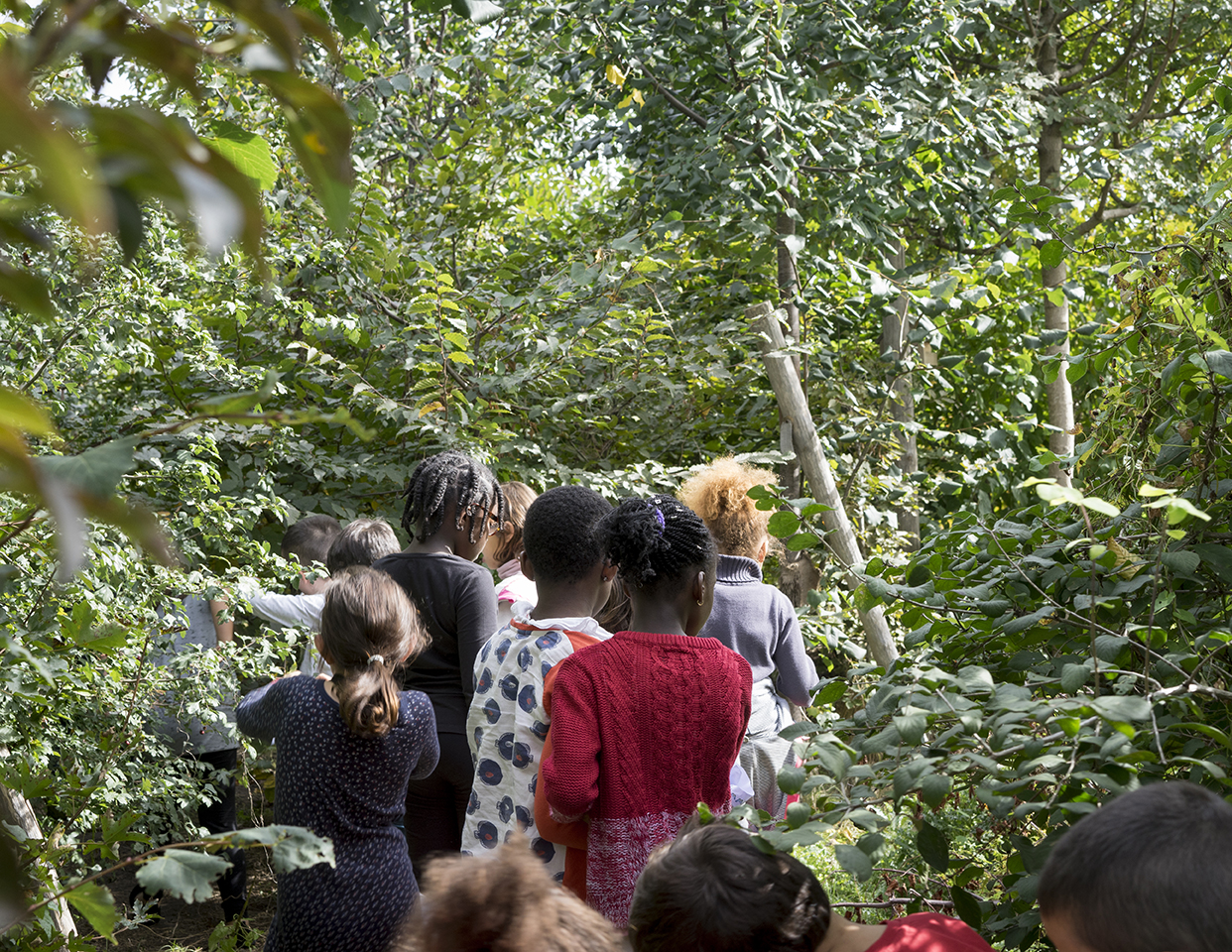 Myr Muratet, reportage photographique #2, École de la Biodiversité, Boulogne-Billancourt reportage-photo-ecole-boulogne-myr-muratet-00