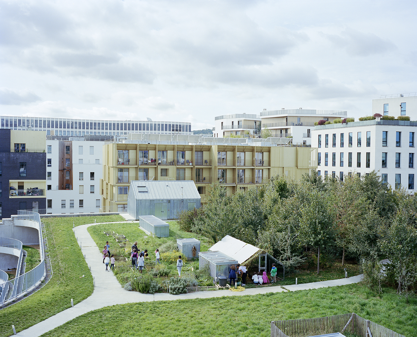 Myr Muratet, photographic report #2, Biodiversity School, Boulogne-Billancourt reportage-photo-ecole-boulogne-myr-muratet-11