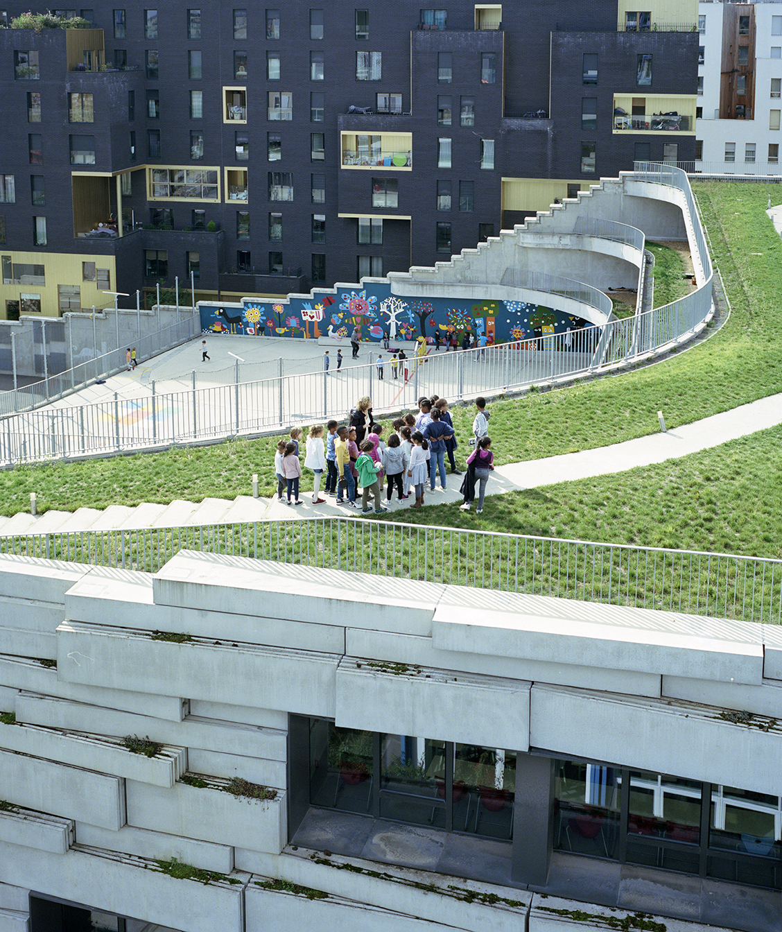 Myr Muratet, photographic report #2, Biodiversity School, Boulogne-Billancourt reportage-photo-ecole-boulogne-myr-muratet-13