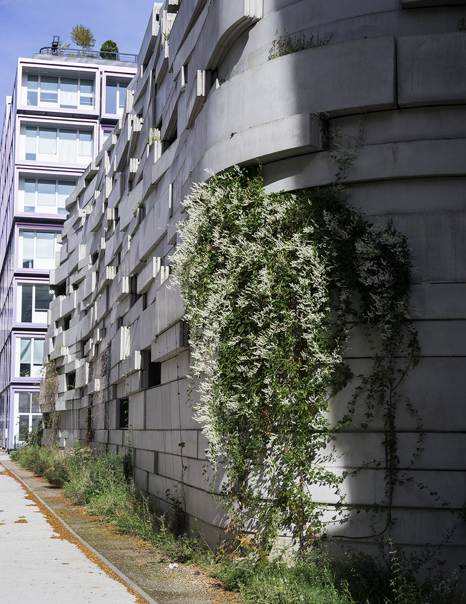 Myr Muratet, photographic report #2, Biodiversity School, Boulogne-Billancourt reportage-photo-ecole-boulogne-myr-muratet-04