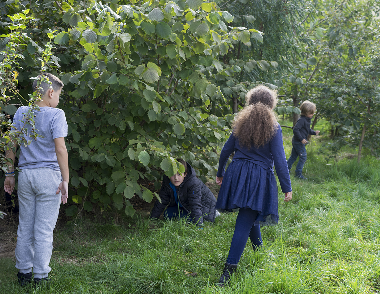 Myr Muratet, photographic report #2, Biodiversity School, Boulogne-Billancourt reportage-photo-ecole-boulogne-myr-muratet-02