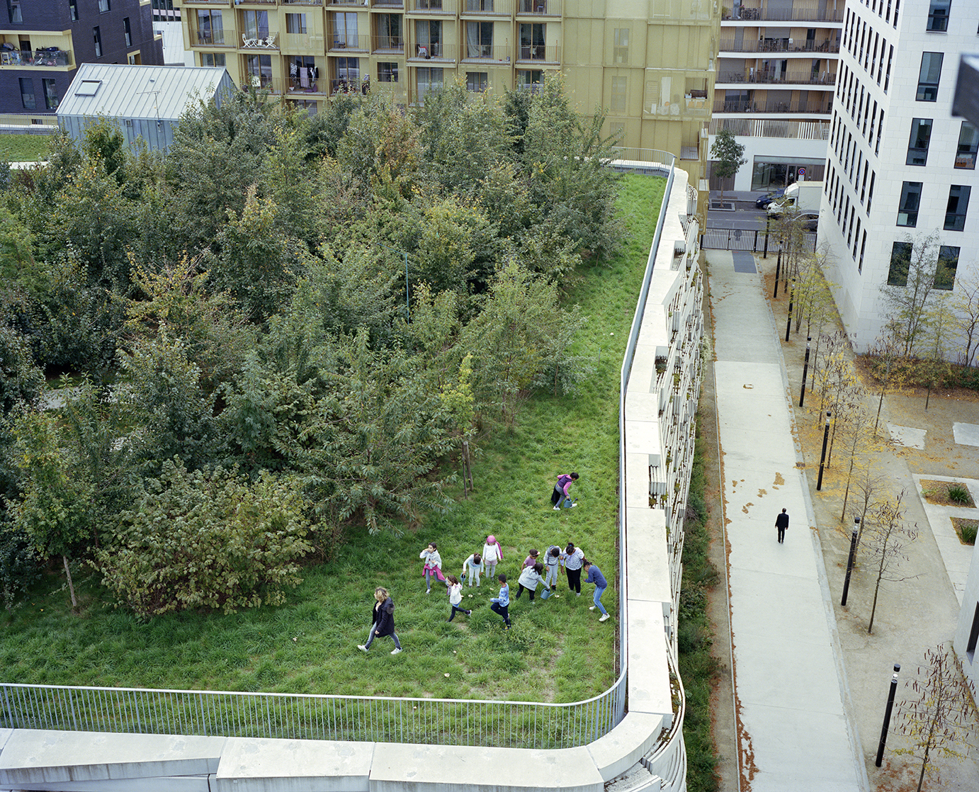 Myr Muratet, photographic report #2, Biodiversity School, Boulogne-Billancourt reportage-photo-ecole-boulogne-myr-muratet-12