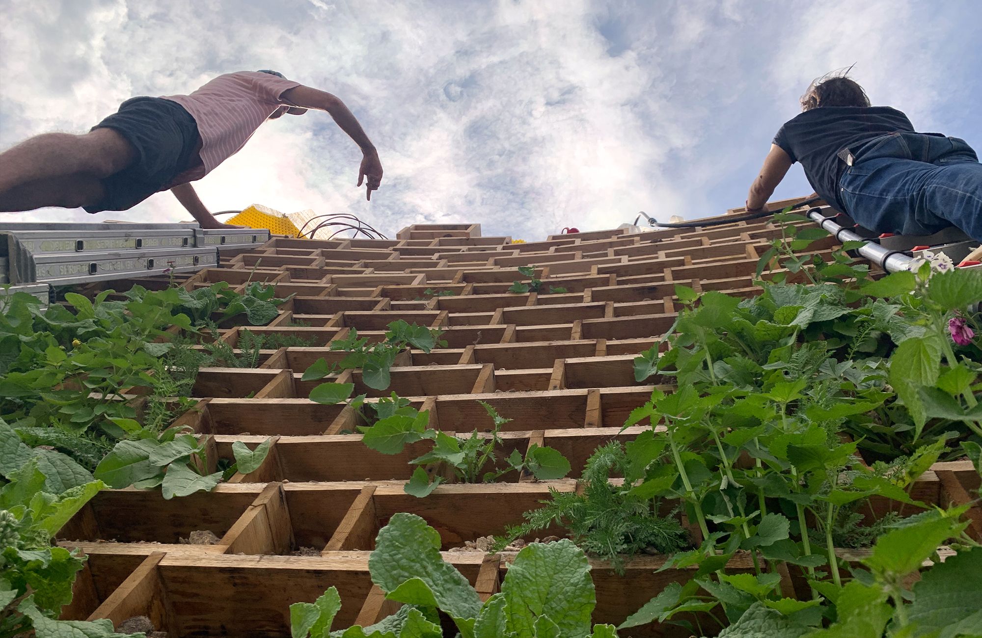 Experimental pavilion, Suzanne urban farm pavillon-experimental-ferme-urbaine-suzanne-09