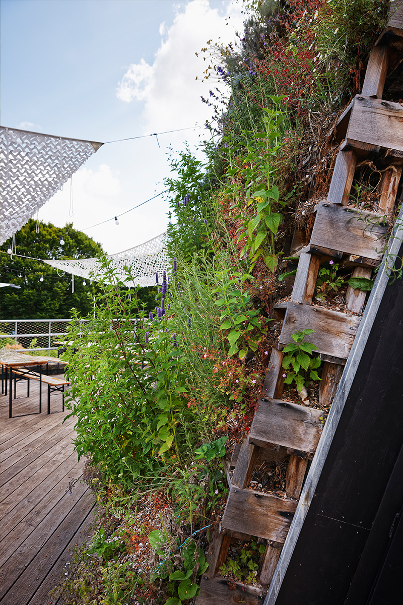 Experimental pavilion, Suzanne urban farm pavillon-experimental-ferme-urbaine-suzanne-06