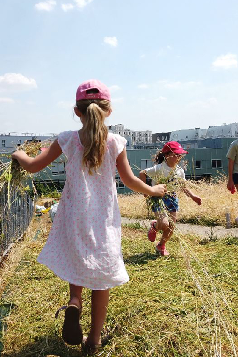 Des prairies de Marly au toit de l'École des Sciences et de la Biodiversité à Boulogne fauche-boulogne