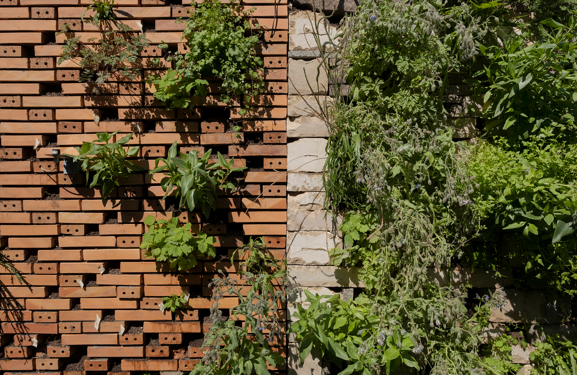 Prototypes de la rue Buffon faire-pavillon-museum-20